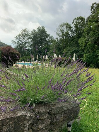 Hôtel Château Du Rey主图