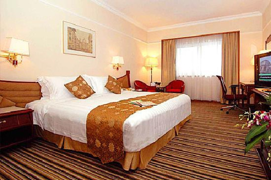 北京丽都维景酒店主图