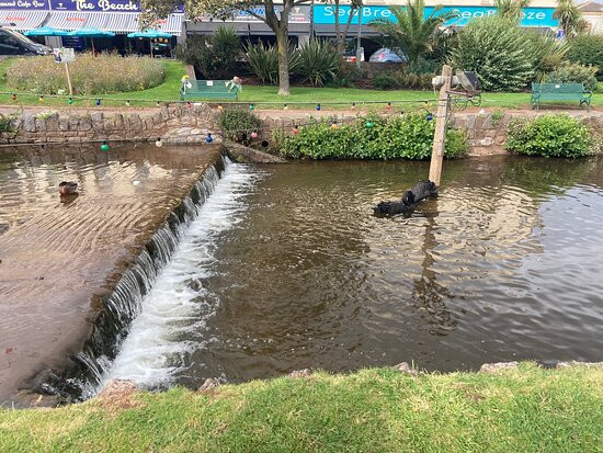 Lyme Bay House主图