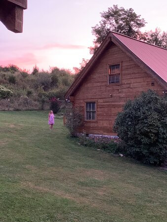 Cuz's Cabins and Resort主图