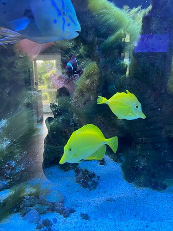 Aquarium Wasserbillig-Wasserbillig必去景点