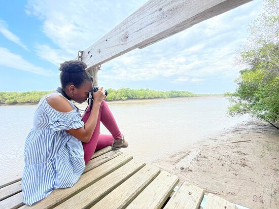 Arisi Safaris Limited-Dar es Salaam必去景点