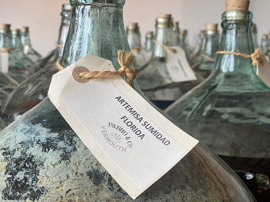 Casa Vermouth Padró景点图片