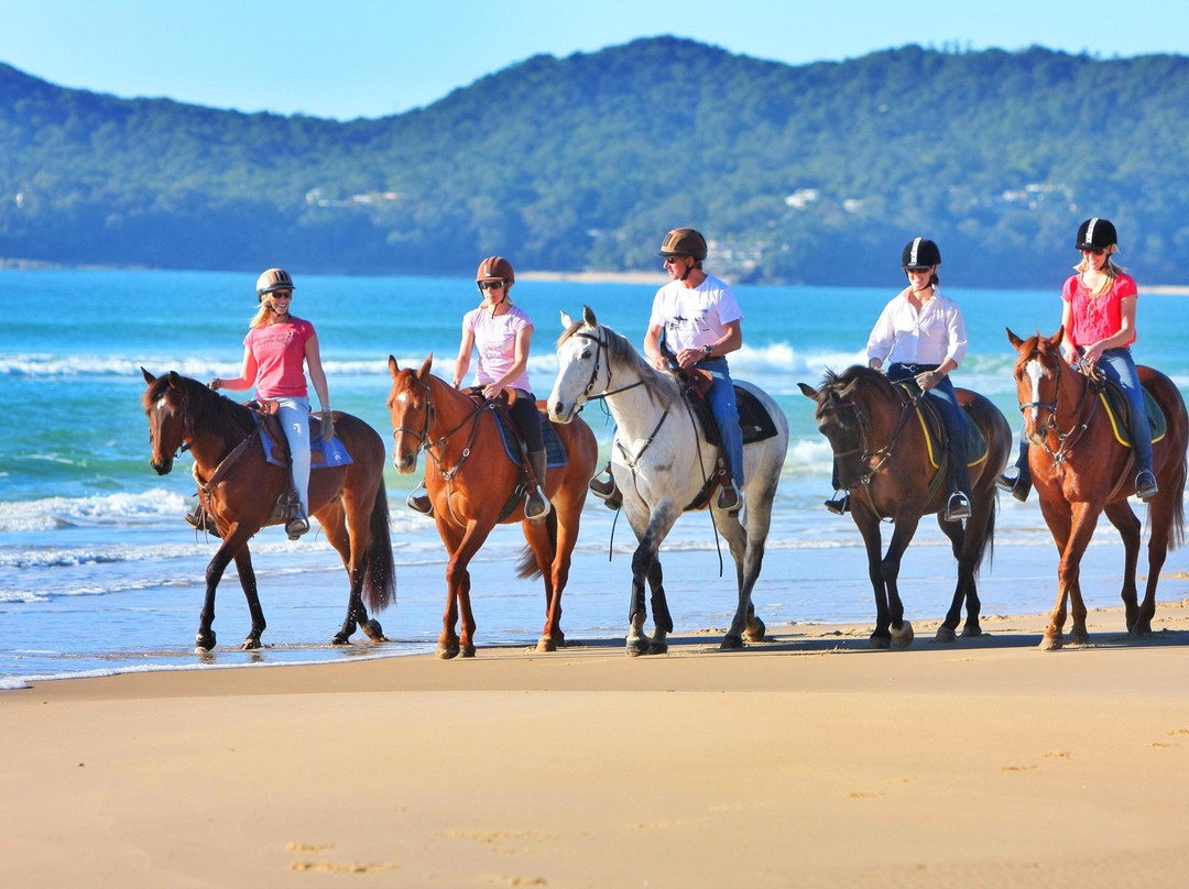 Equathon-努沙必去景点