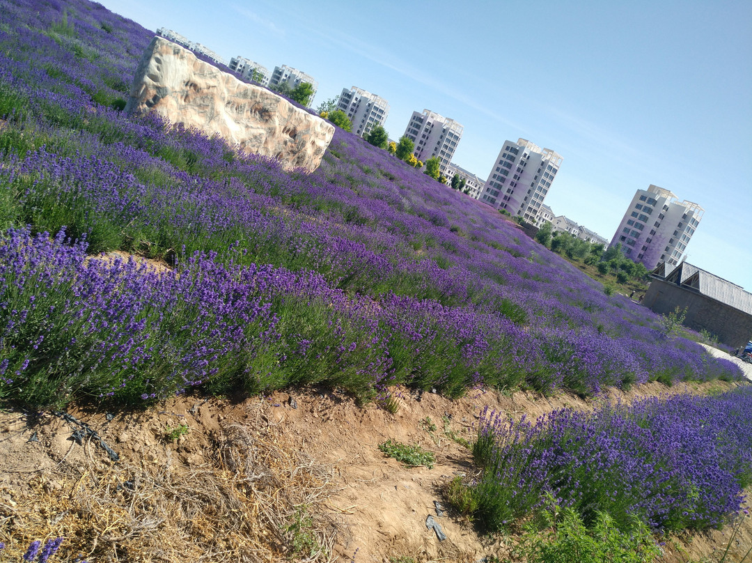 金昌旅游攻略图片