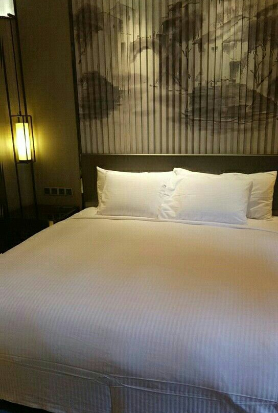 芜湖富力万达嘉华酒店主图