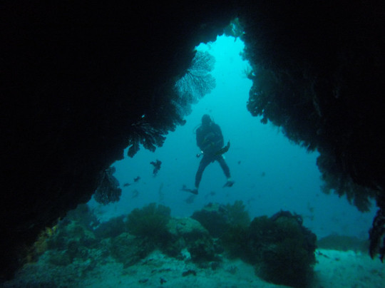 AQUAVENTURES DIVE CENTER-Puerto Baquerizo Moreno必去景点