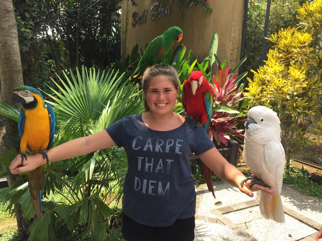 Suryani Bali Tour-登巴萨必去景点