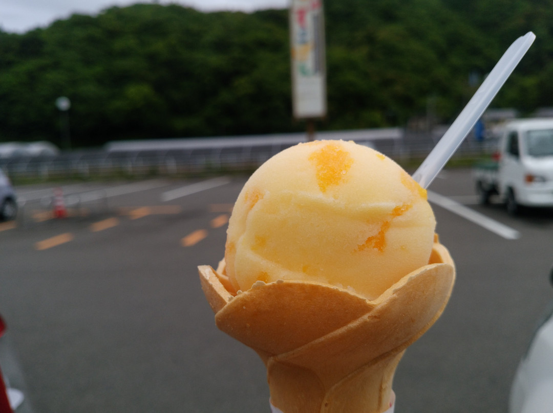 Michi-no-Eki Ashikita Dekopon