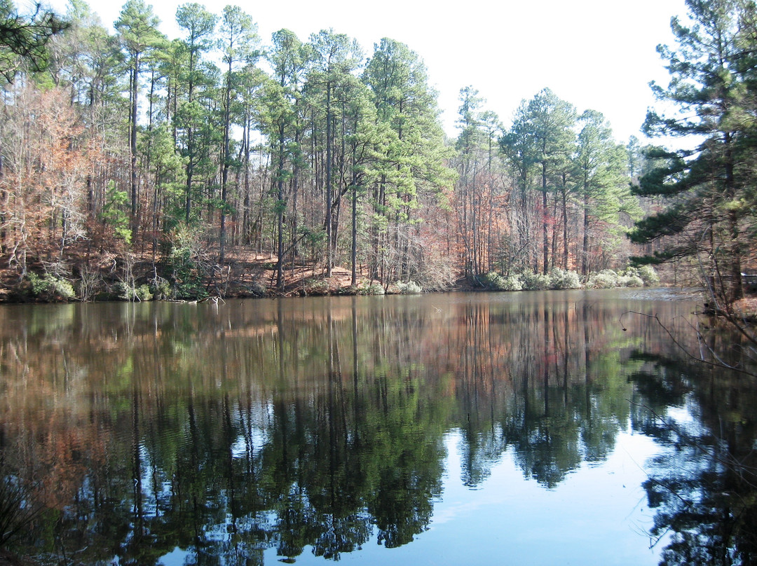 Logoly State Park景点图片