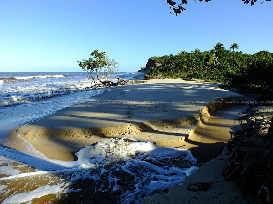 Calambriao Beach-Cumuruxatiba必去景点