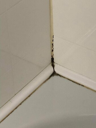 Kingsgate Hotel The Avenue Wanganui主图