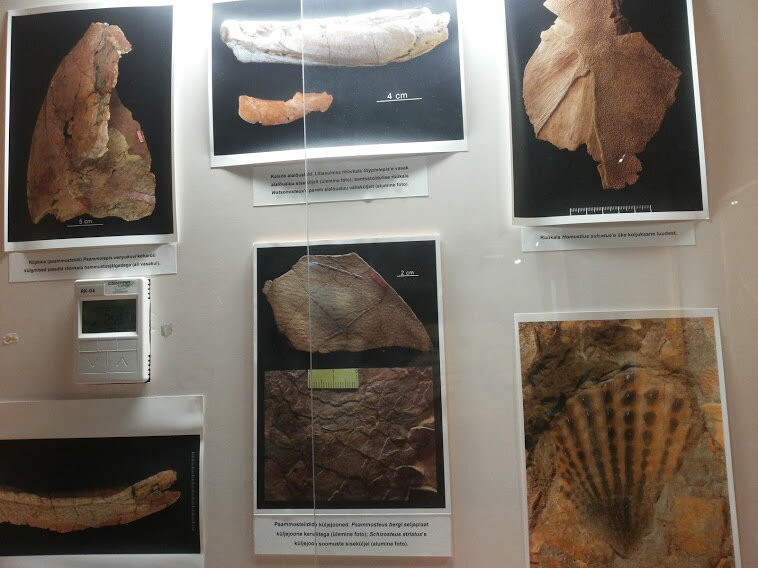 Lake Museum Akva: rium景点图片