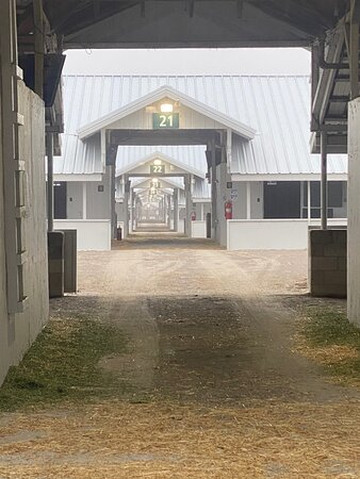 Horse Country-列克星敦必去景点