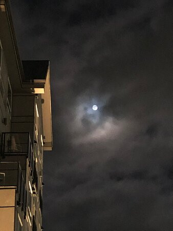 Sandman Hotel Hamilton主图