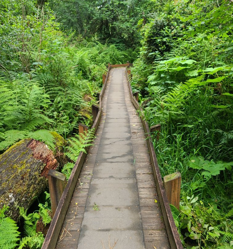 Mclane Creek Nature Trail景点图片