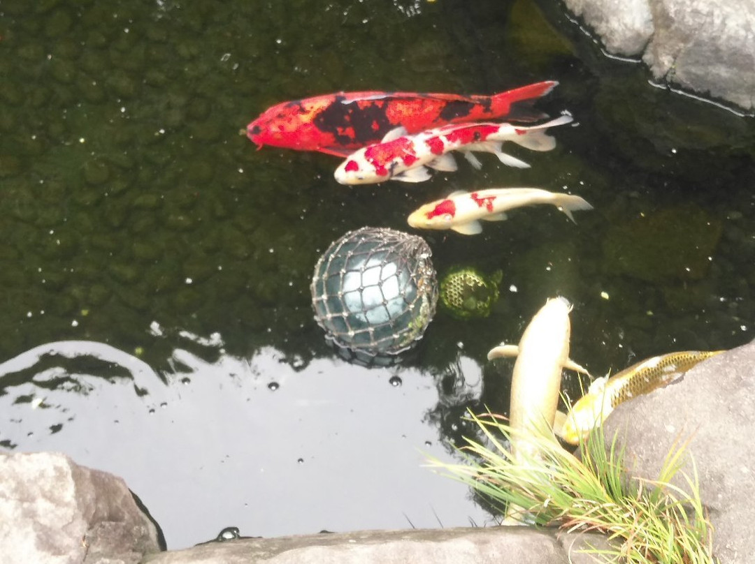 Josho-ji Temple-调布市必去景点