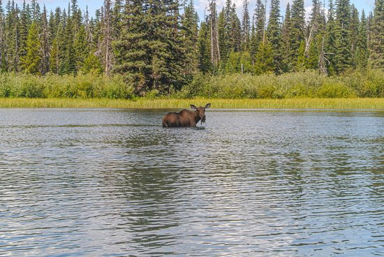 Bowron Lakes Provincial Park景点图片