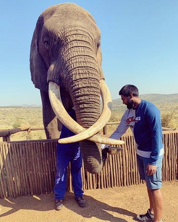 Bayete Zulu Lodges-Mkuze Game Reserve必去景点