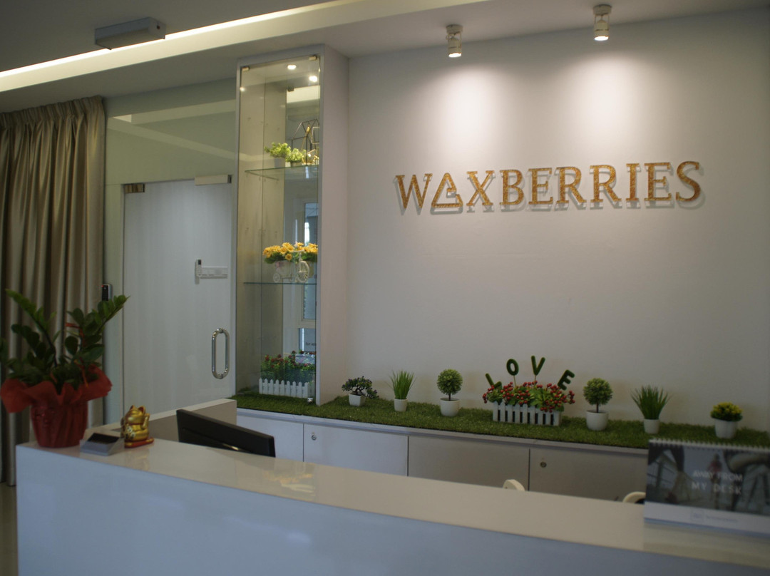 Waxberries景点图片