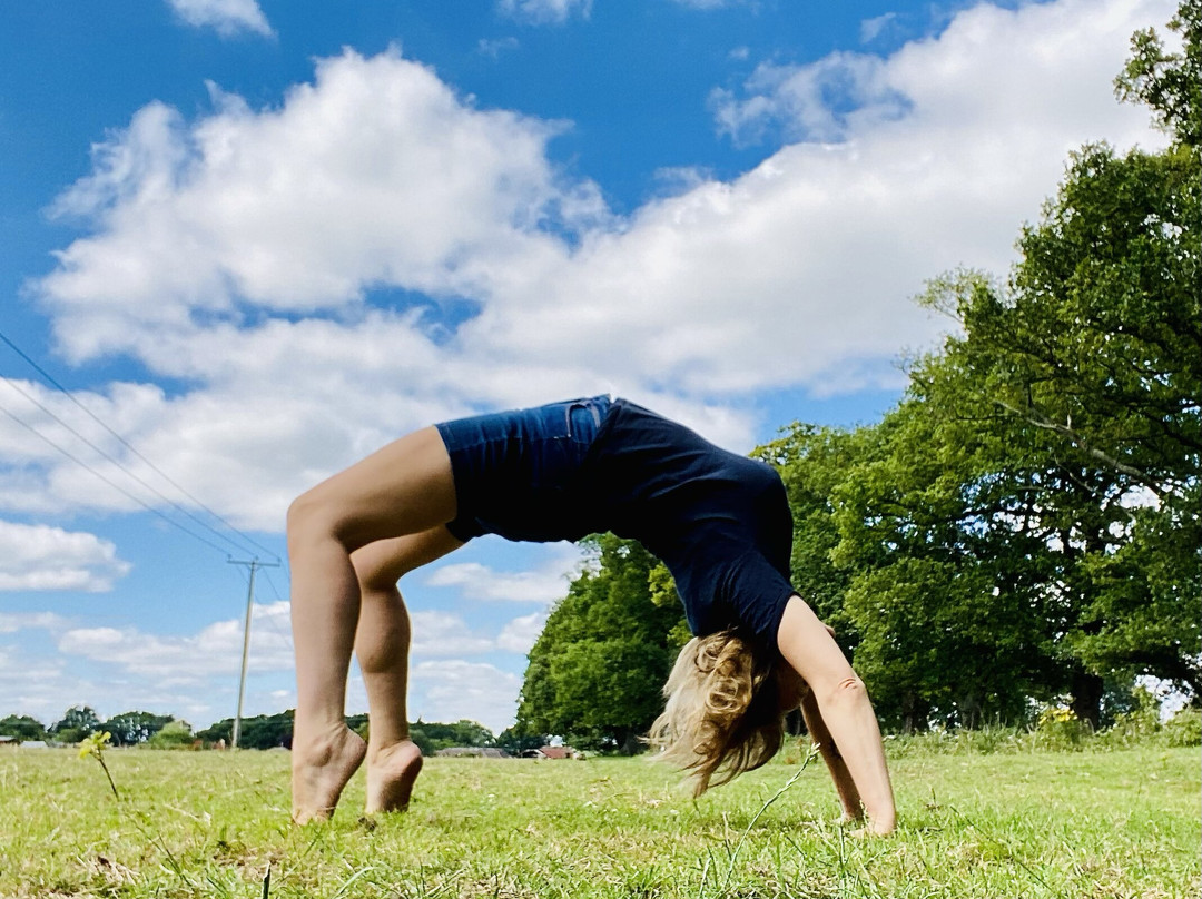 Orange Tree Iyengar Yoga