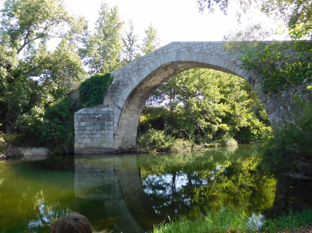 Pont de Spina Cavaddu景点图片