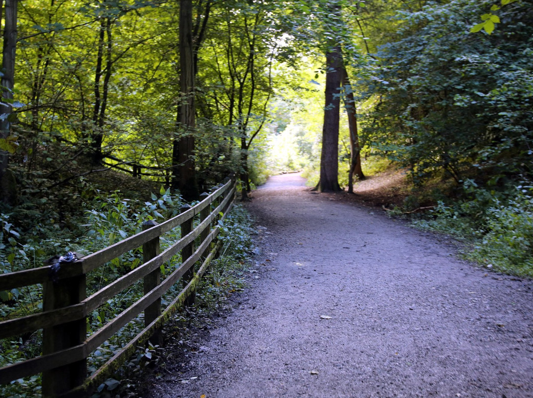 Mold旅游攻略图片