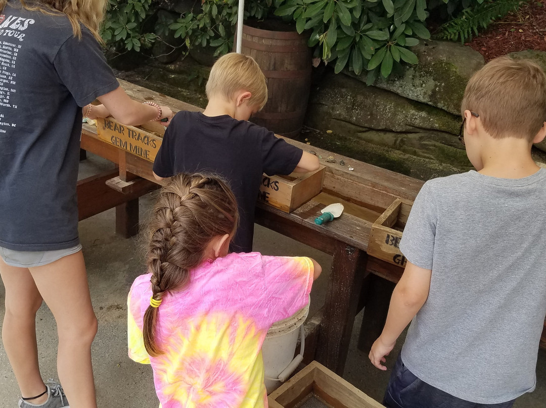 Lake Toxaway旅游攻略图片