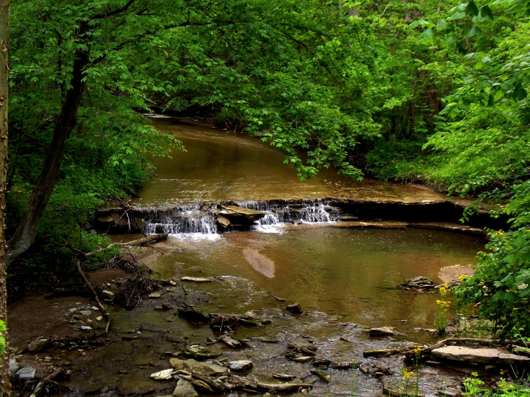 里士满旅游攻略图片