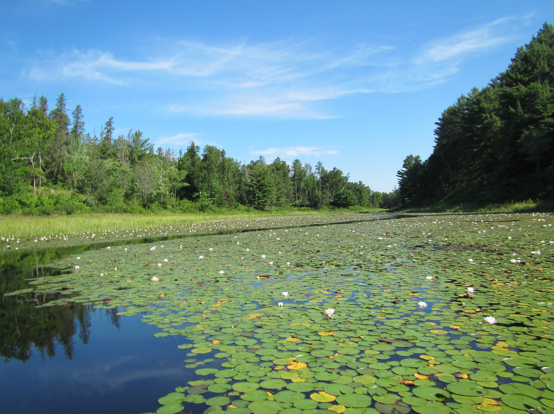 Pointe au Baril旅游攻略图片