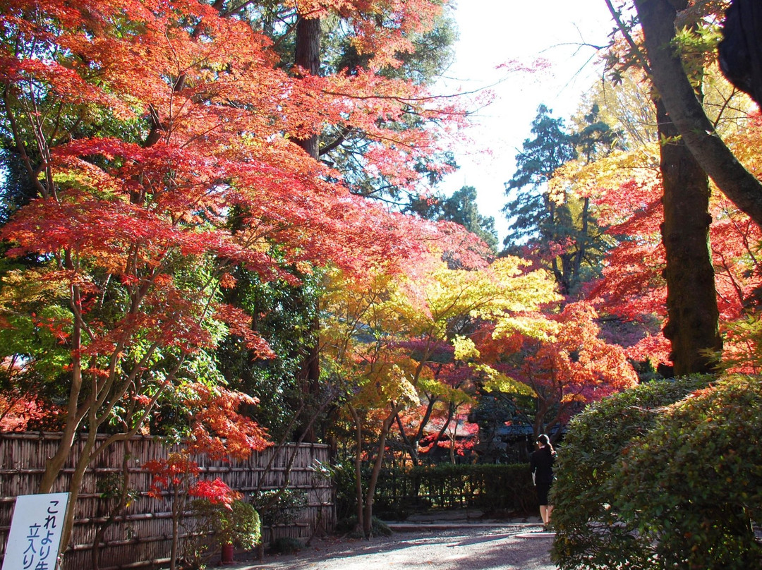 Heirin-ji Temple-新座市必去景点