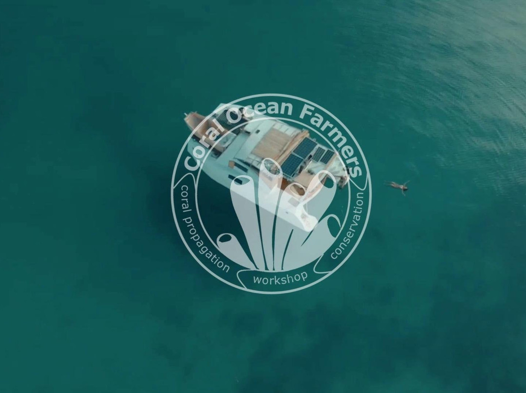 Coral Ocean Farmers internship / volunteering-Panglao必去景点