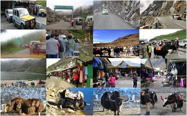 Sikkim Divine Tours and Travels景点图片