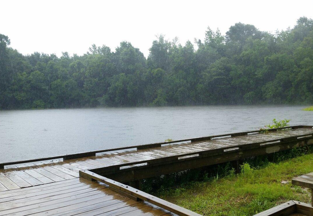 Osyka旅游景点-Bogue Chitto State Park