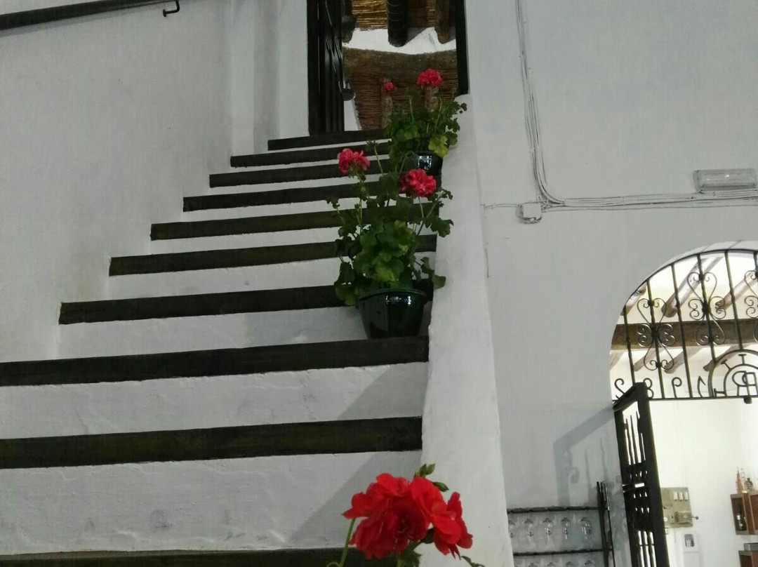 卢塞纳旅游景点-Museo Bodega El Alfoli