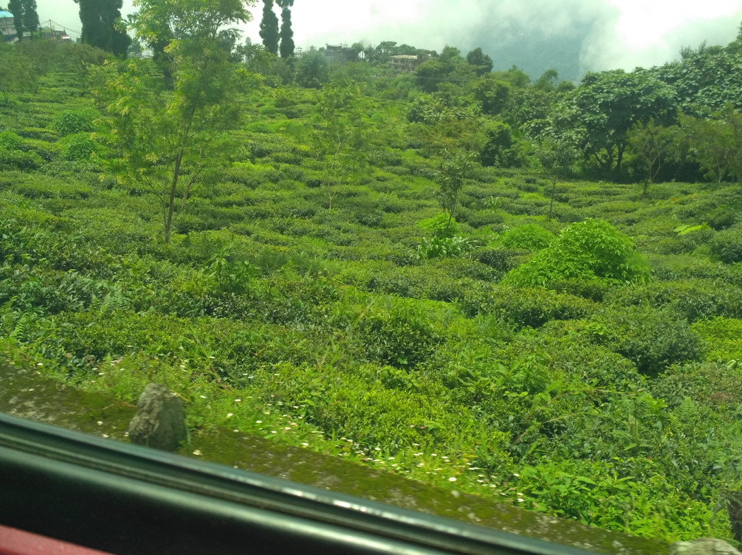 Bagdogra - Darjeeling Airport Taxi 24/7-大吉岭必去景点