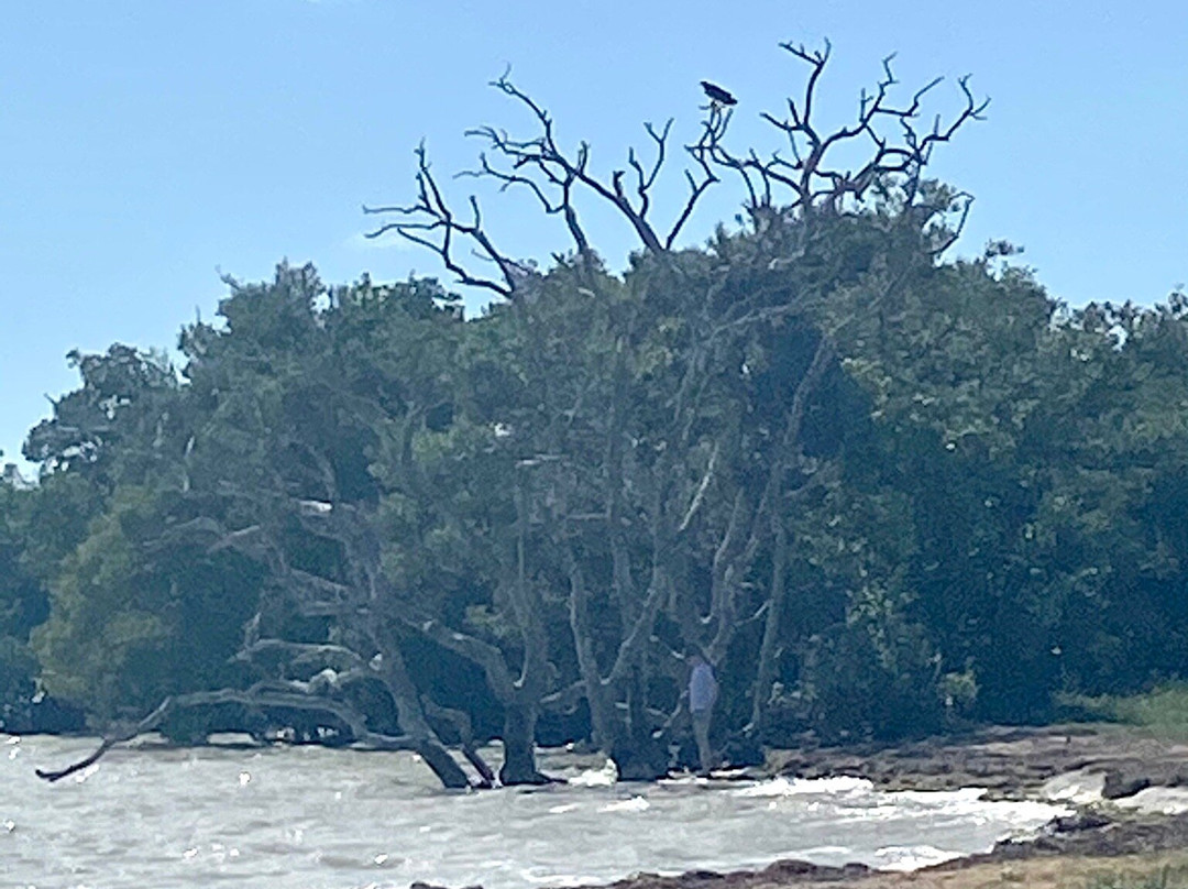 Flamingo-大沼泽国家公园必去景点