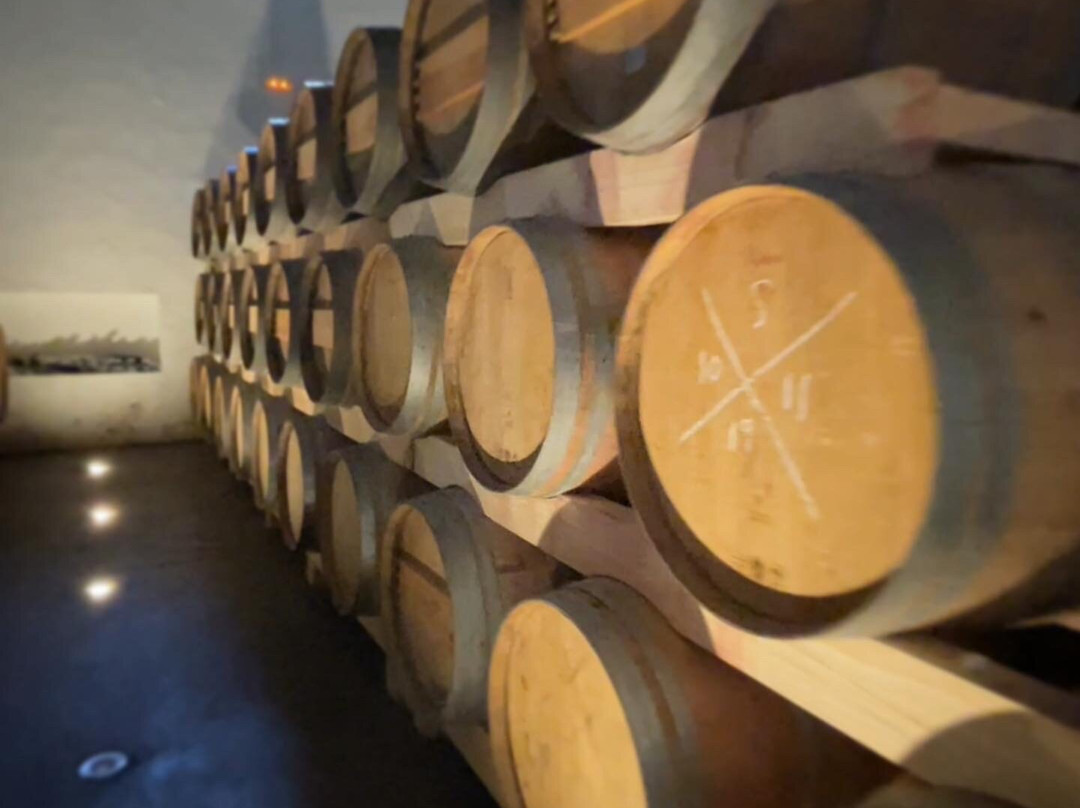 Hotel Bodega El Juncal主图