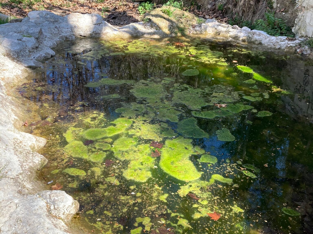 Balneario de Alhama de Granada景点图片