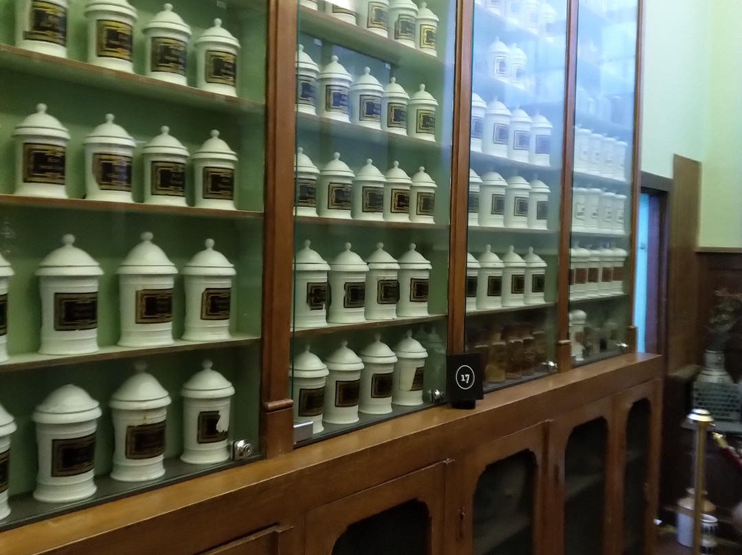 Hospital Notre Dame de la Rose Museum景点图片
