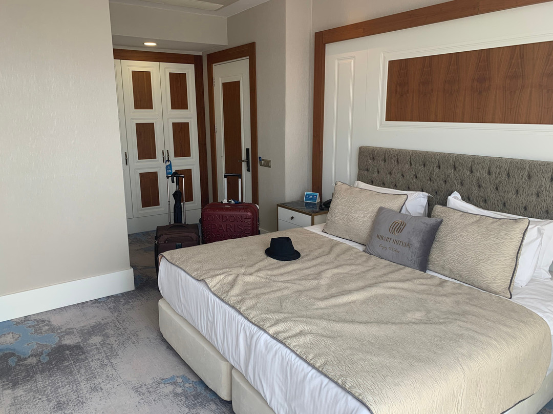 Mirart Hotel Boutique & Spa主图