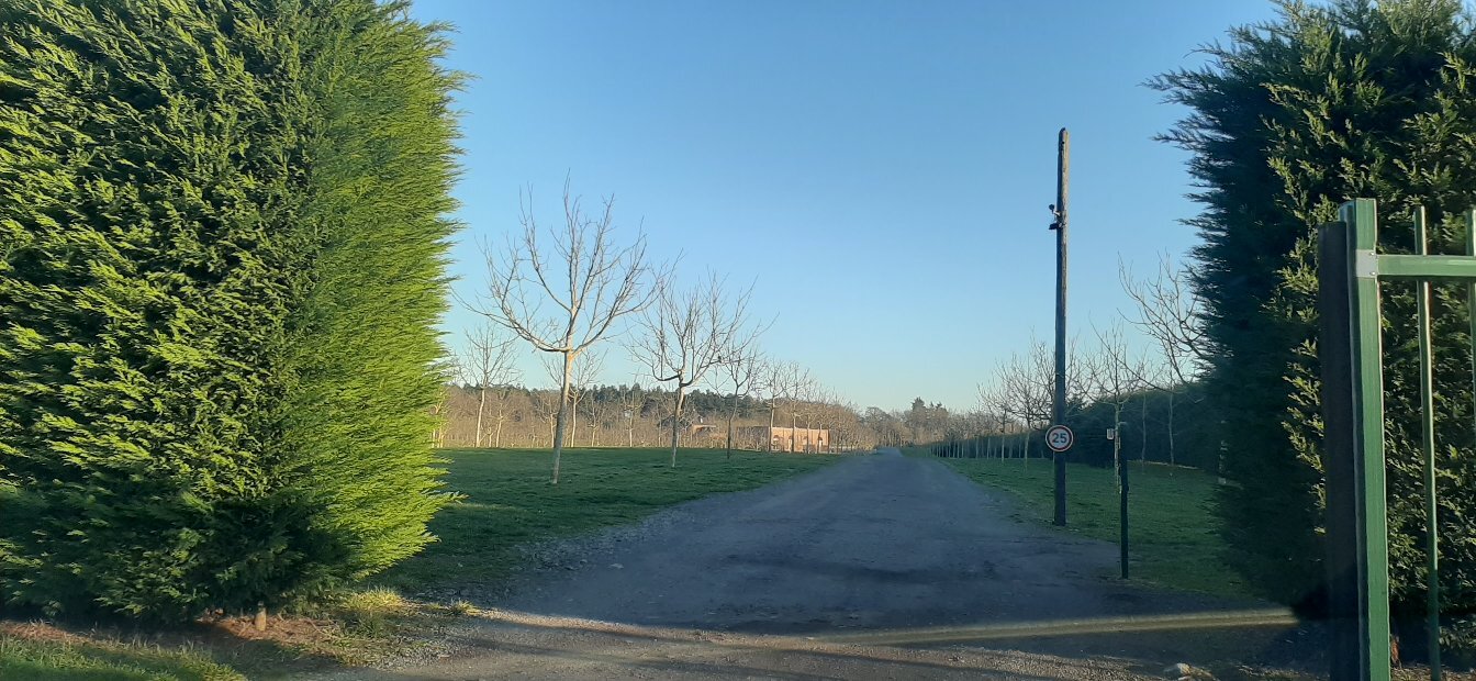 Domaine de la Noiseraie-官方