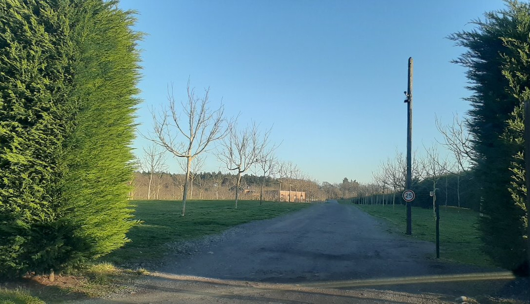 Domaine de la Noiseraie主图