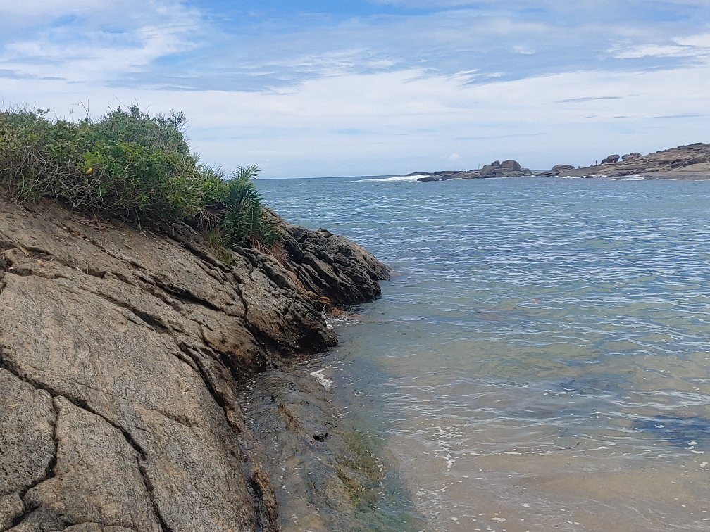 Parque Natural Municipal Morro da Pescaria景点图片