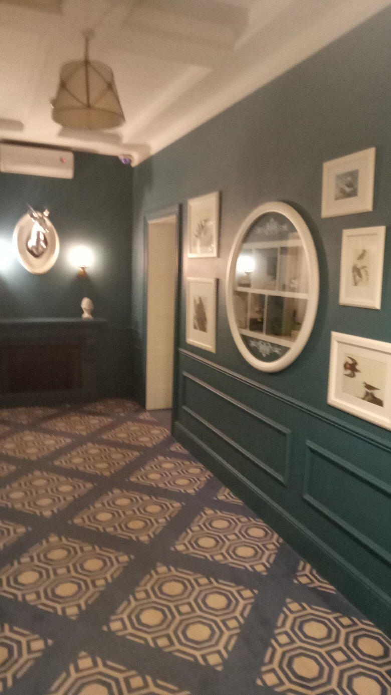 Guest House Vincent-官方
