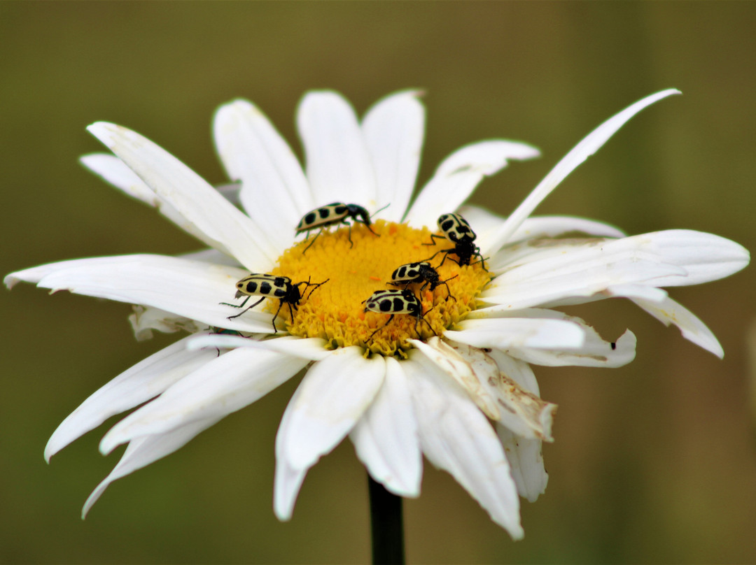 Pousada Salto Sete主图