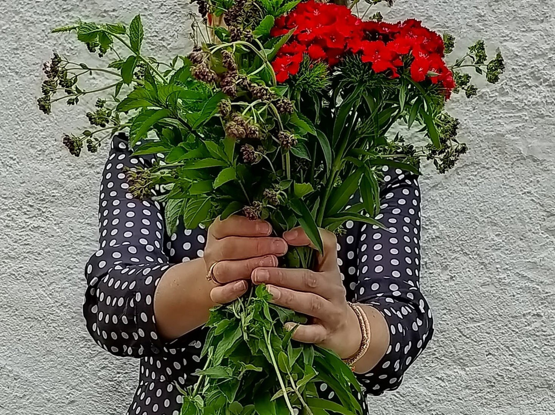 Gourmet- und Boutiquehotel Tanzer主图