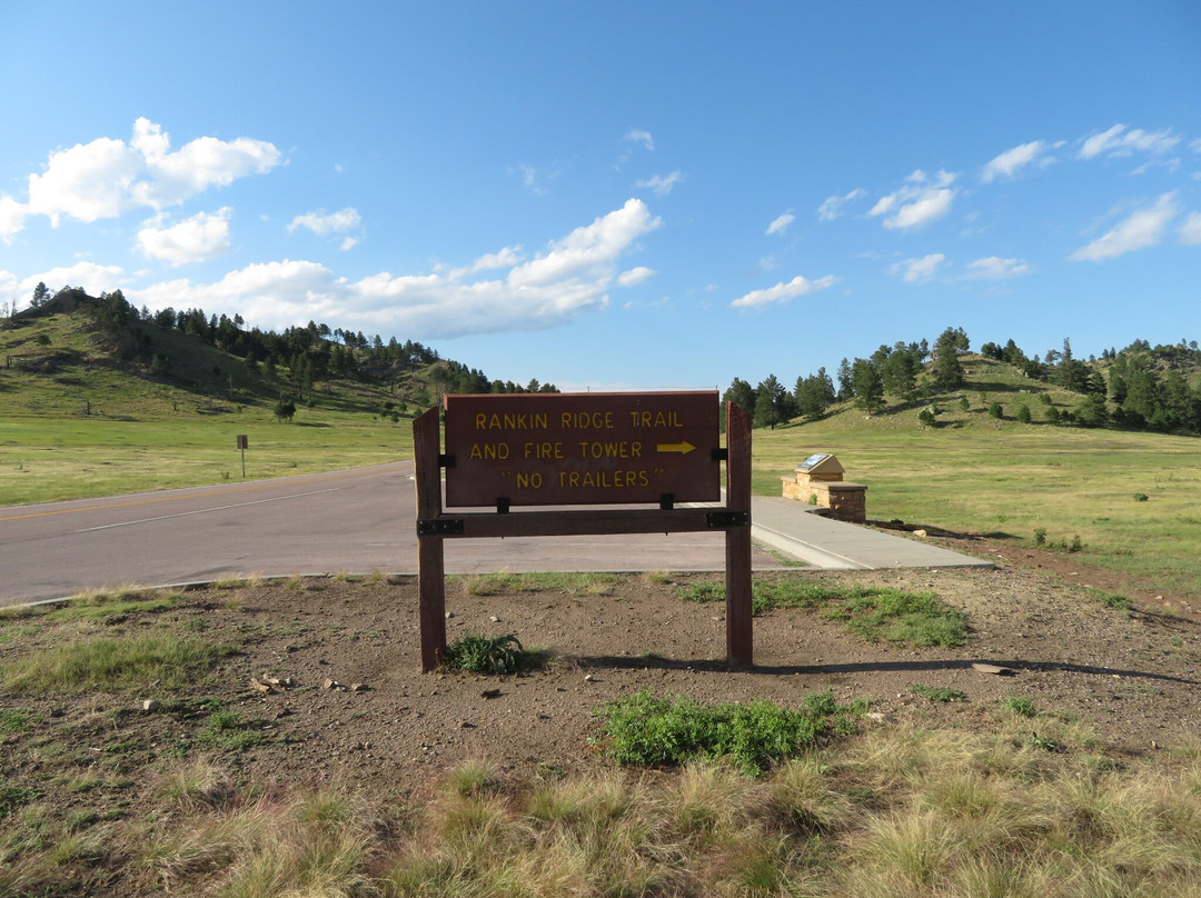 Rankin Ridge Nature Trail-Wind Cave National Park必去景点
