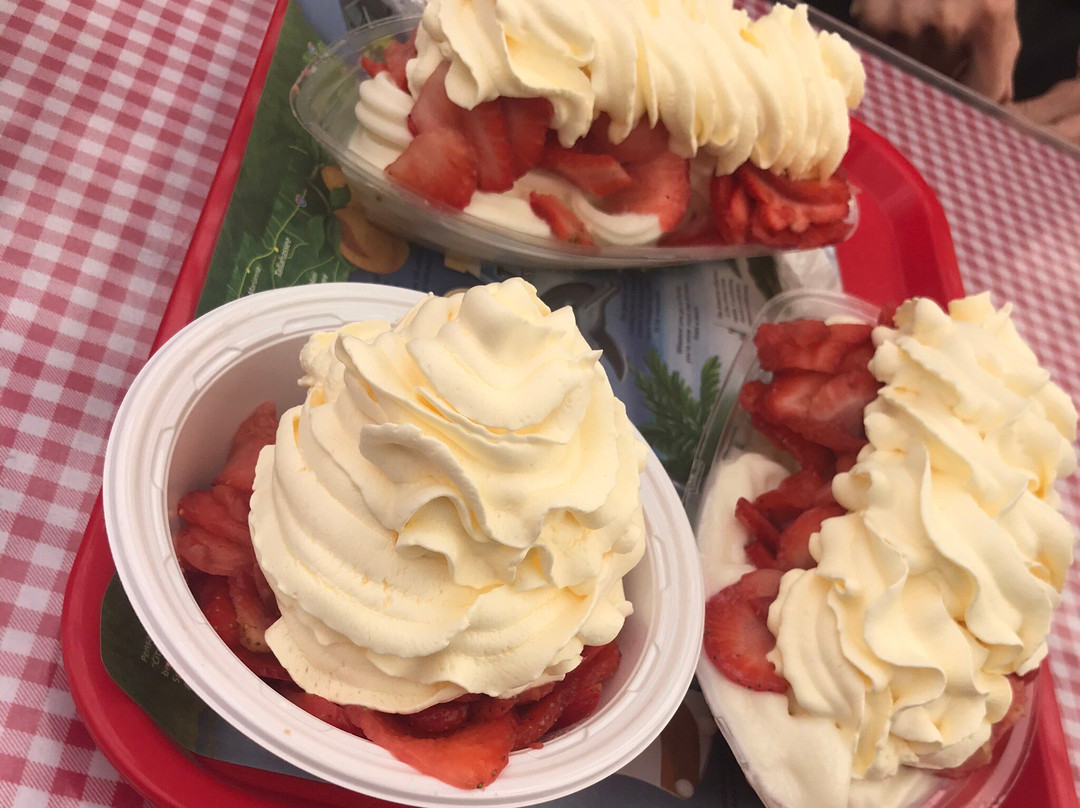 Parkesdale Farm Market-普兰特城必去景点