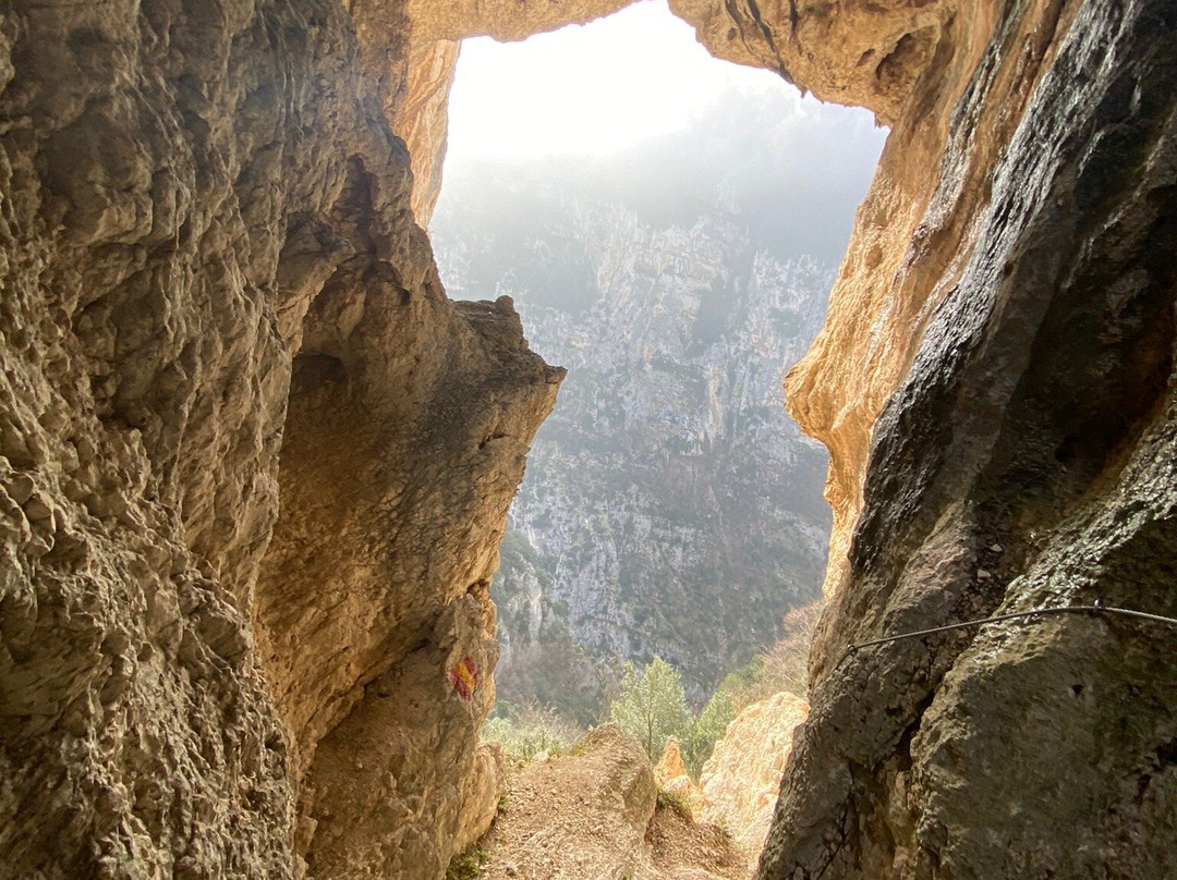 Parco Naturale Regionale della Gola della Rossa e di Frasassi景点图片